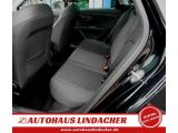 Seat Leon bei Sportwagen.expert - Abbildung (11 / 15)