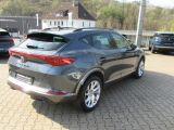 Cupra Formentor bei Sportwagen.expert - Abbildung (6 / 14)