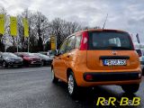 Fiat Panda bei Sportwagen.expert - Abbildung (5 / 15)