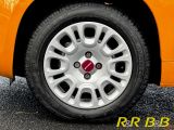 Fiat Panda bei Sportwagen.expert - Abbildung (4 / 15)