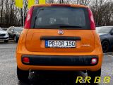 Fiat Panda bei Sportwagen.expert - Abbildung (6 / 15)