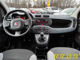 Fiat Panda bei Sportwagen.expert - Abbildung (11 / 15)