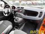 Fiat Panda bei Sportwagen.expert - Abbildung (8 / 15)