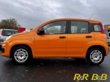 Fiat Panda bei Sportwagen.expert - Abbildung (3 / 15)