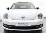 VW Beetle bei Sportwagen.expert - Abbildung (2 / 15)