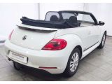 VW Beetle bei Sportwagen.expert - Abbildung (8 / 15)