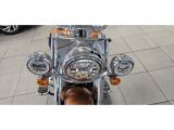 Harley-Davidson Softail bei Sportwagen.expert - Abbildung (10 / 14)