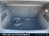 Renault Megane bei Sportwagen.expert - Abbildung (12 / 15)