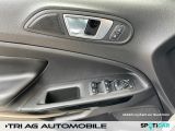 Ford EcoSport bei Sportwagen.expert - Abbildung (14 / 15)