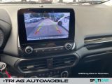 Ford EcoSport bei Sportwagen.expert - Abbildung (15 / 15)
