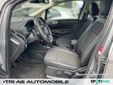 Ford EcoSport bei Sportwagen.expert - Abbildung (9 / 15)