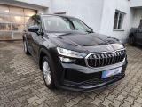 Skoda Kodiaq bei Sportwagen.expert - Abbildung (2 / 15)