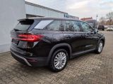Skoda Kodiaq bei Sportwagen.expert - Abbildung (3 / 15)
