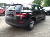 Skoda Kodiaq bei Sportwagen.expert - Abbildung (6 / 15)