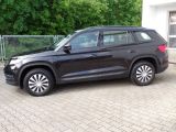 Skoda Kodiaq bei Sportwagen.expert - Abbildung (4 / 15)