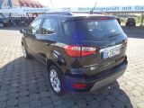 Ford EcoSport bei Sportwagen.expert - Abbildung (3 / 12)
