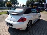 VW Beetle bei Sportwagen.expert - Abbildung (11 / 15)