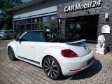 VW Beetle bei Sportwagen.expert - Abbildung (6 / 15)
