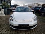 VW Beetle bei Sportwagen.expert - Abbildung (2 / 15)