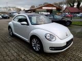VW Beetle bei Sportwagen.expert - Abbildung (3 / 15)