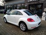 VW Beetle bei Sportwagen.expert - Abbildung (6 / 15)