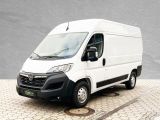 Opel Movano bei Sportwagen.expert - Abbildung (2 / 13)