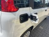 Fiat Panda bei Sportwagen.expert - Abbildung (12 / 15) Fiat Panda bei Sportwagen.expert - Abbildung (12 / 15)