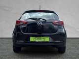 Mazda 2 bei Sportwagen.expert - Abbildung (4 / 10)