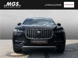 Jaguar F-Pace bei Sportwagen.expert - Abbildung (9 / 11)