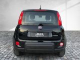 Fiat Panda bei Sportwagen.expert - Abbildung (5 / 15)