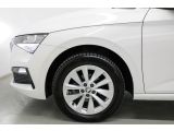 Skoda Scala bei Sportwagen.expert - Abbildung (11 / 15)