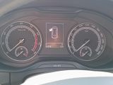 Skoda Kodiaq bei Sportwagen.expert - Abbildung (11 / 14)
