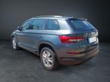 Skoda Kodiaq bei Sportwagen.expert - Abbildung (3 / 14)