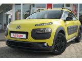 Citroen C4 Cactus bei Sportwagen.expert - Abbildung (2 / 15)
