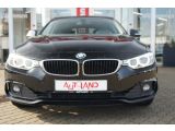 BMW 4er bei Sportwagen.expert - Abbildung (15 / 15)