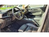 Opel Insignia bei Sportwagen.expert - Abbildung (6 / 14)