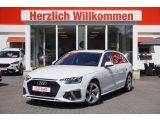 Audi A4 bei Sportwagen.expert - Abbildung (2 / 15)