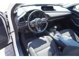 Mazda CX-30 bei Sportwagen.expert - Abbildung (11 / 15)