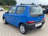 Fiat Seicento bei Sportwagen.expert - Abbildung (8 / 15)