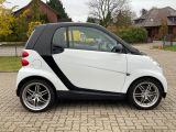 Smart smart fortwo bei Sportwagen.expert - Abbildung (5 / 15)