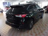 Ford Kuga bei Sportwagen.expert - Abbildung (4 / 15)