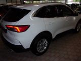 Ford Kuga bei Sportwagen.expert - Abbildung (4 / 15)