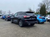 Ford Kuga bei Sportwagen.expert - Abbildung (2 / 14)