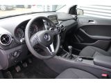 Mercedes-Benz B-Klasse bei Sportwagen.expert - Abbildung (5 / 15)