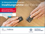 VW California bei Sportwagen.expert - Abbildung (6 / 15)