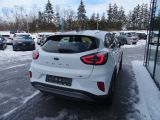 Ford Puma bei Sportwagen.expert - Abbildung (5 / 15)