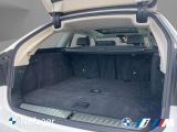 BMW 5er bei Sportwagen.expert - Abbildung (6 / 15)