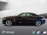BMW 4er bei Sportwagen.expert - Abbildung (2 / 10)