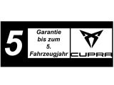 Cupra Formentor bei Sportwagen.expert - Abbildung (14 / 15)