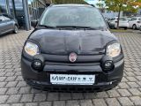 Fiat Panda bei Sportwagen.expert - Abbildung (8 / 15) Fiat Panda bei Sportwagen.expert - Abbildung (8 / 15)